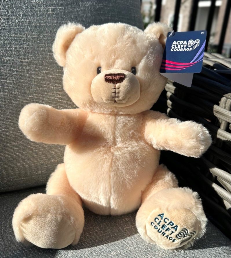 Product Description: One bear is $27 and shipping is included. One full box of bears contains12 bears, andthe maximum number of bears that can be ordered at a time is 2boxes (or 24bears).</br></br>Please note:All store orders are typically shipped twice a month, around the middle and end of each month. Orders may take up to one month after the order date to ship. Thank you for your patience.</br> ACPA Cleft Courage Bear